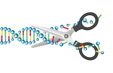 Donnerstagsvortrag: Gute Gene, böse Gene. Wie aus gesunden Zellen Krebs entsteht.