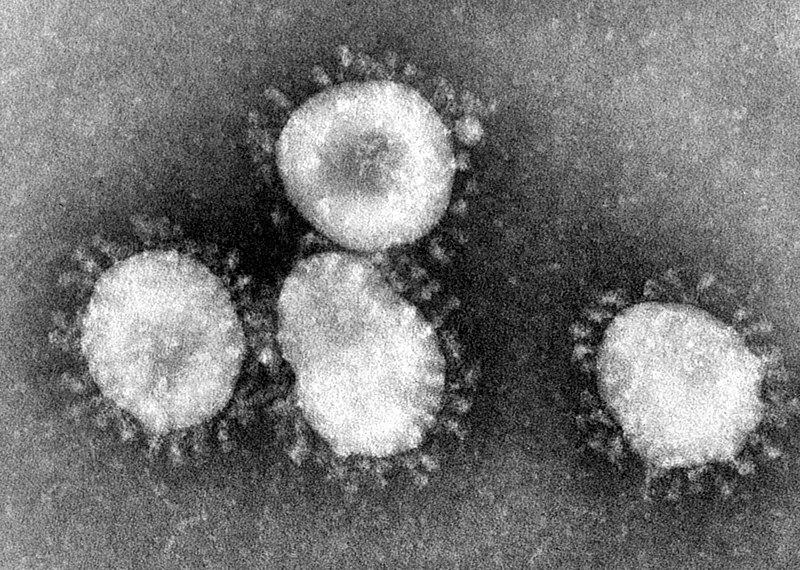 Donnerstagsvortrag zum Coronavirus
